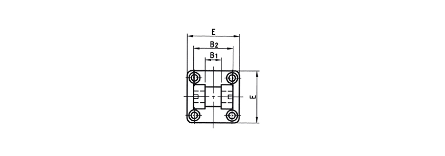 DGS 40